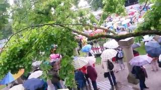 Landesgartenschau Öhringen  Regenschirmtanz der Senioren [upl. by Pinter]