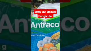 Antracol प्रीवेंटिव फफूंदीनाशक [upl. by Viki]