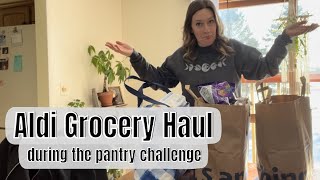 Pantry Challenge grocery trip  I HAD to do it [upl. by Necyrb]