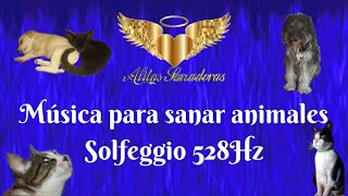 Música para sanar animales Solfeggio 528Hz [upl. by Gaw207]