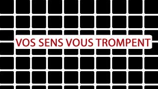 Vos sens vous trompentils   Science et Vie TV [upl. by Ramraj]