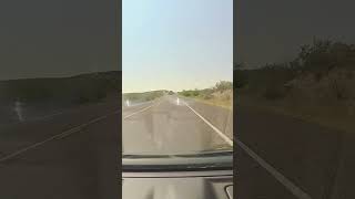 Close call with a giant buzzard driving through Big Bend TX texas crash birds nationalpark car [upl. by Adnorahs]