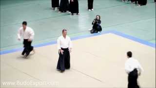 Horii Etsuji  50th All Japan Aikido 2012 [upl. by Carlson]