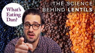 Why Lentils And Rice Are Scientifically Delicious Together  What’s Eating Dan [upl. by Airdnahs]