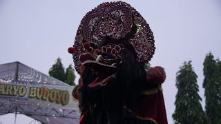 Rampak Barong Wonge Aryo Budoyo live Lap Brimob Kediri 14 Nov 2024 [upl. by Tenrag]