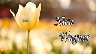 Nicu Wagner  Colaj cu cantari crestine noi [upl. by Einor]