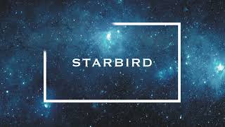 Corey Heuvel  Starbird Official Audio  Lyrics [upl. by Nylehtak]