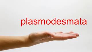 How to Pronounce plasmodesmata  American English [upl. by Tunnell680]