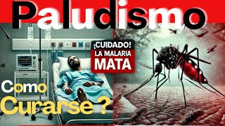 El Paludismo Cómo Combatir el parasito de La Malaria y evitar daños Mortales [upl. by Binnie]