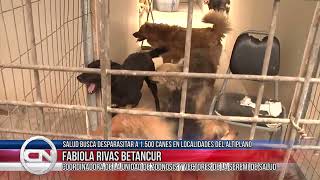 04 oct 2024 Salud buscará desparasitar a 1500 perros en localidades del altiplano [upl. by Biancha]