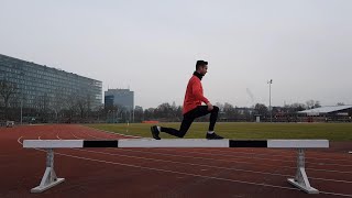 Training mit Abstand  Teil 61  Vielfältig am und mit Hindernisbalken trainieren  Teil I [upl. by Quincy]