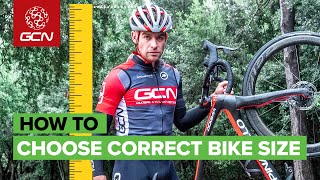 How to Choose The Correct Bike Size [upl. by Casilda559]