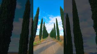 Val dOrcia Tuscany Italy 이탈리아 토스카나 발도르차 [upl. by Buyer]