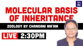 Molecular Basis of Inheritance in Zoology Join Chandani Maam Live [upl. by Melan]