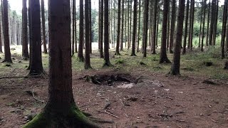 Easy Company Foxholes in Bastogne Belgium amp The War Museum [upl. by Enirehtakyram544]