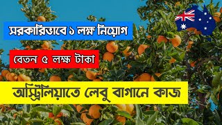 অস্ট্রেলিয়া লেবু বাগানে কাজের ভিসা। সরকারিভাবে ১ লক্ষ লোক নিবে। Australia work permit visa [upl. by Sairahcaz476]