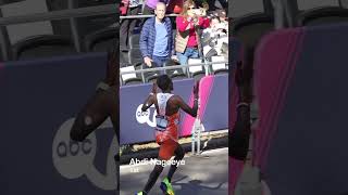 New York Marathon 2024 Mens [upl. by Stich658]