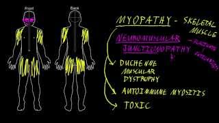 Myopathy and neuromuscular junctionopathy [upl. by Spoor597]