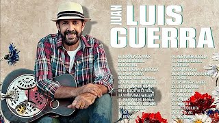 TOP 20 MEJORES CANCIONES DE JUAN LUIS GUERRA  Juan Luis Guerra EXITOS EXITOS Sus Mejores Canciones [upl. by Annaik651]