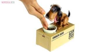 Moredealmy  Novelty Coin Bank Mechanical Dog Saving Box [upl. by Adhamh111]