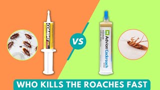 Advion Vs Combat Cockroach Gel Bait Who Kills The Roaches Fast [upl. by Eemia]