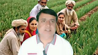 onion farming in Sindh pakistani [upl. by Susej]