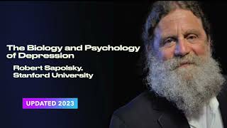 Robert Sapolsky The Biology and Psychology of Depression [upl. by Seibold]