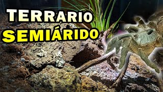 Montando nuevo terrario para Ceratogyrus darlingi tarantula cornuda africana [upl. by Aketahs532]