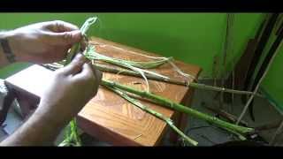 How to make cordage from Milkweed [upl. by Ehud]