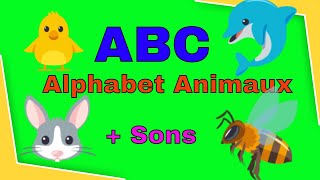 ABC Alphabet des animaux  sons abcdanimaux [upl. by Remark696]