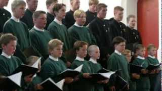 Holland Boys Choir  Ding Dong Merrily on High [upl. by Emmerie726]