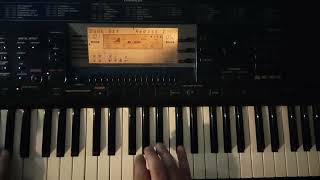 Anapati Arev  Tata Simonyam Cover taronkeyboard [upl. by Martineau]