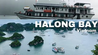 Halong Bay Tour 2 days1 night by Cozy Bay Cruise  Vietnam 2024 [upl. by Emmit]