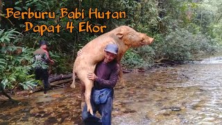 Berburu Babi Hutan seru Dapat Empat Ekor [upl. by Rochester725]