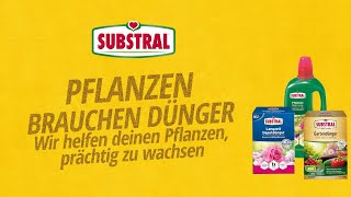 Pflanzen düngen mit SUBSTRAL® [upl. by Ylrebmic25]