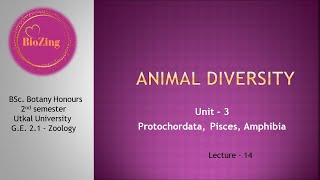 L14  GE Zoology Animal diversity  Bsc Botany Honours  1st  2nd sem [upl. by Strain]