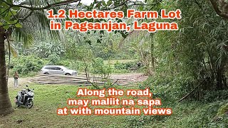 P 494 12 hectares  500sqm Titled Farm Lot in Pagsanjan Laguna for sale [upl. by Sivra683]