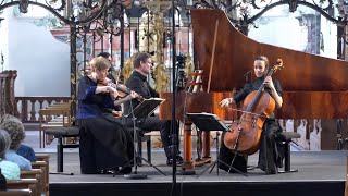 Schubert Piano Trio No 2 in Eflat Major Op 100 – Andante con moto  Faust Gabetta Bezuidenhout [upl. by Casilda753]