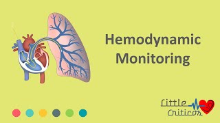 Hemodynamic monitoring  Little Criticos [upl. by Araeic]