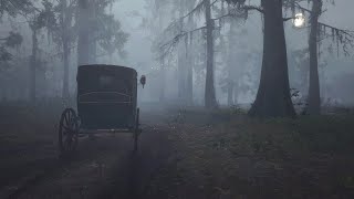 Carriage Ride Ambience pleasant trip ASMR [upl. by Hilaria]