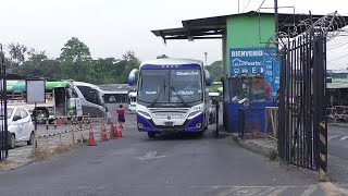 Afluencia de viajeros en la terminal de occidente [upl. by Lengel]