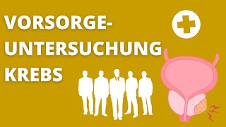 Krebs bei Männern  Welche Krebsvorsorgen sind sinnvoll [upl. by Kcirrad]