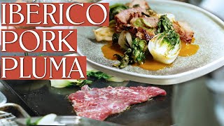 How to Cook a Decadent Iberico Pork Pluma Steak Recipe [upl. by Garlen]