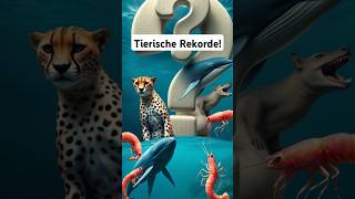 Unglaubliche tierische Rekorde tiere shorts facts fakten newvideo wildlife wissen record [upl. by Arytal374]