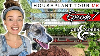 HOUSE PLANT TOUR UK  Episode 7 🌿 Geb amp Green [upl. by Hamas747]