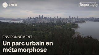 Un parc urbain en métamorphose  La semaine verte [upl. by Surtimed]