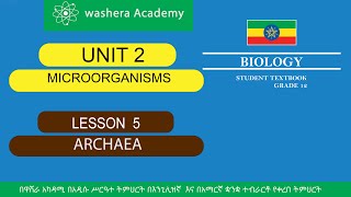 BIOLOGY GRADE 12 UNIT 2 LESSON 5 ARCHAEA [upl. by Aerb]