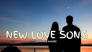 New love song Lyrics  New hindi songs 2024  Hindi songs  Pop hindi songs [upl. by Erdnua]