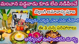 chollangi amavasya date 2024Chollangi amavasya pooja in teluguchollangi amavasya pooja vidhanam [upl. by Catlee860]