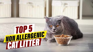 Top 5 NonAllergenic Cat Litters A Review for Allergy Sufferers [upl. by Denman]